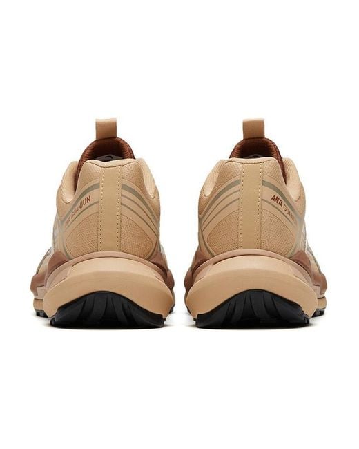 Anta Brown Champion for men