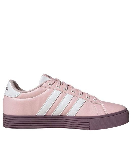 Adidas Purple (Wmns) Daily 4.0 Wine'