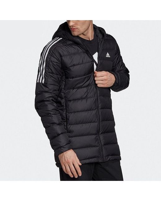 Adidas Blue Logo Print Casual Cap Sports Down Jacket for men