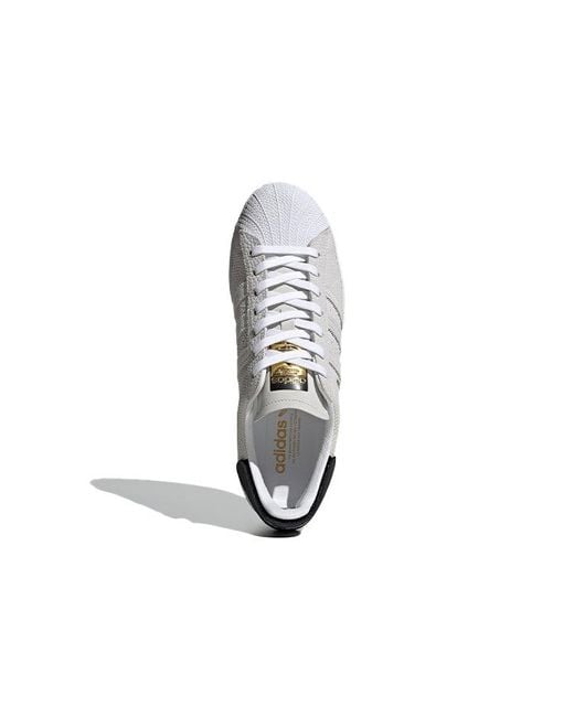 Adidas White Superstar 'Snakeskin for men