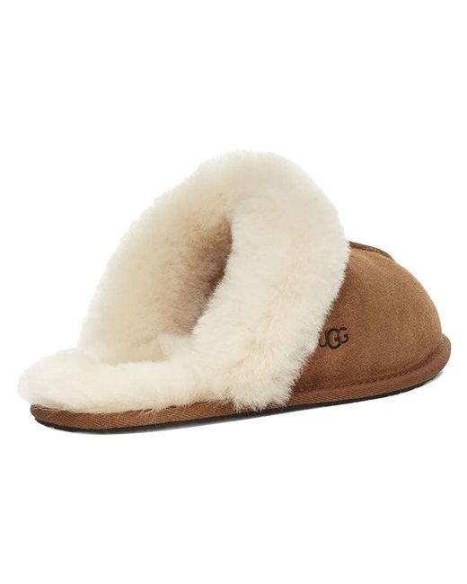 Ugg Scuffette Ii Brown Slippers