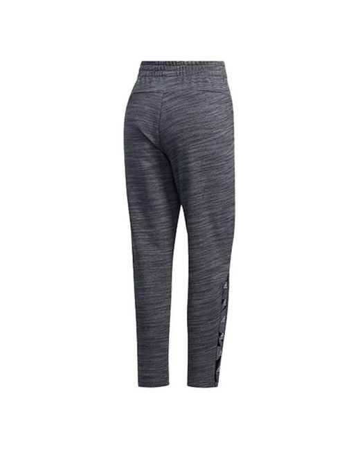 Adidas Gray (Wmns) Essentials Tape Pant