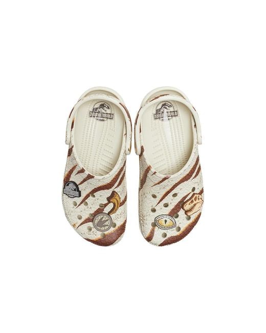 CROCSTM Natural X Jurassic World Classic Clog 'Bone' for men