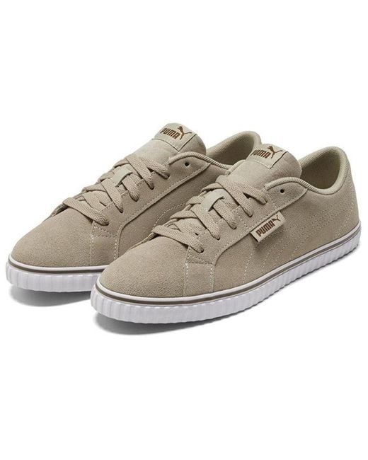PUMA Brown Ever Lopro Sd Casual Skateboarding Shoes for men