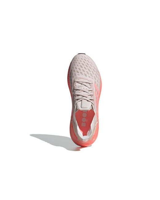 Adidas Pink (Wmns) Ultraboost Pb 'Echo'