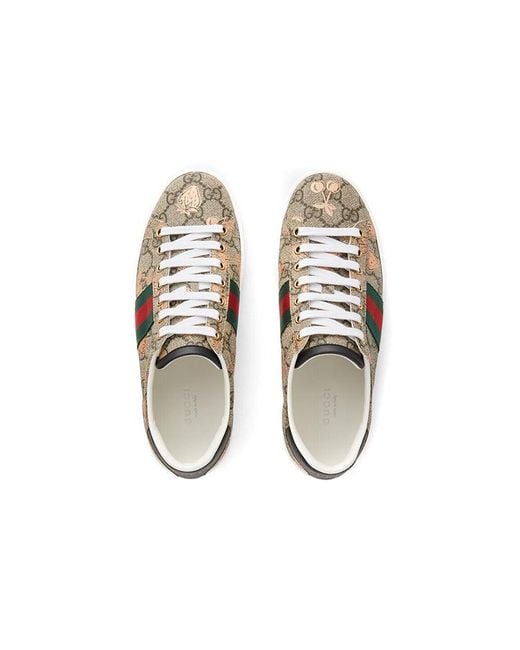 Gucci Brown (Wmns) Ace Gg Supreme 'Berry Print'