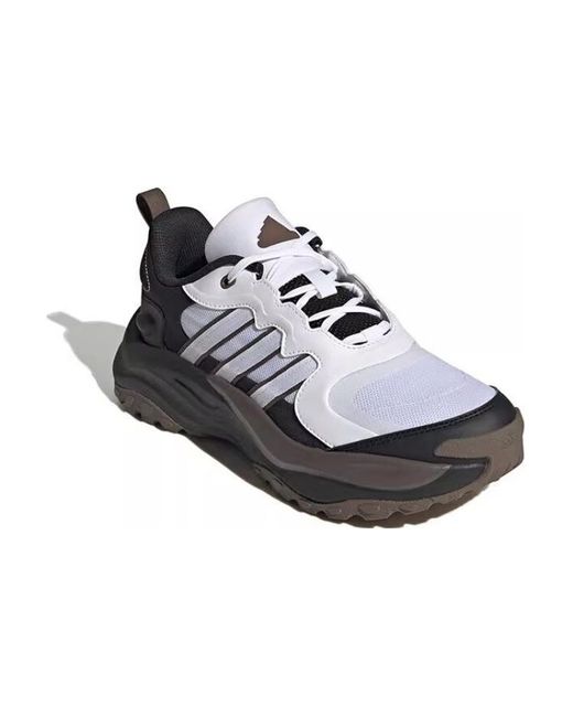 Adidas Blue Maxxwavy Daddy Shoes for men