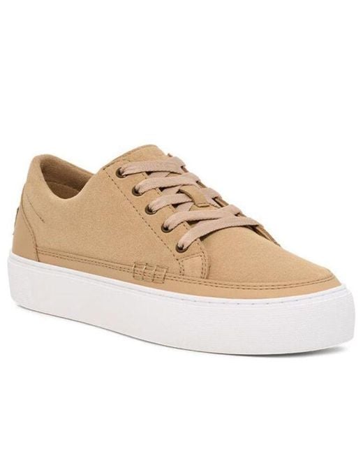 Ugg Natural Cakewalk 'Mustard Seed' for men