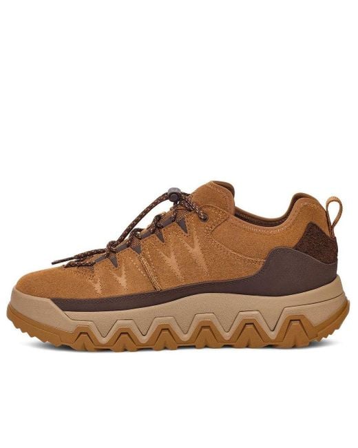 Ugg Brown Captrail Low-top Sneakers for men