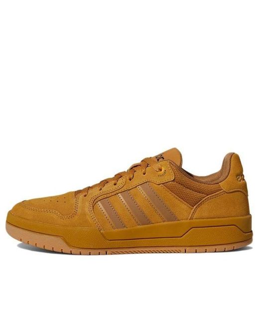 Adidas Brown Entrap for men