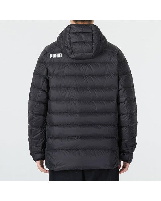 PUMA Blue Winter Jacket for men