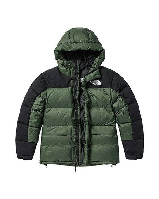 The North Face Winter Puffer Jacket 'Olivegreen' for men