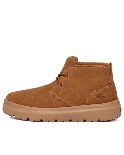 Ugg Brown Burleigh Chukka Boot 'Chestnut' for men