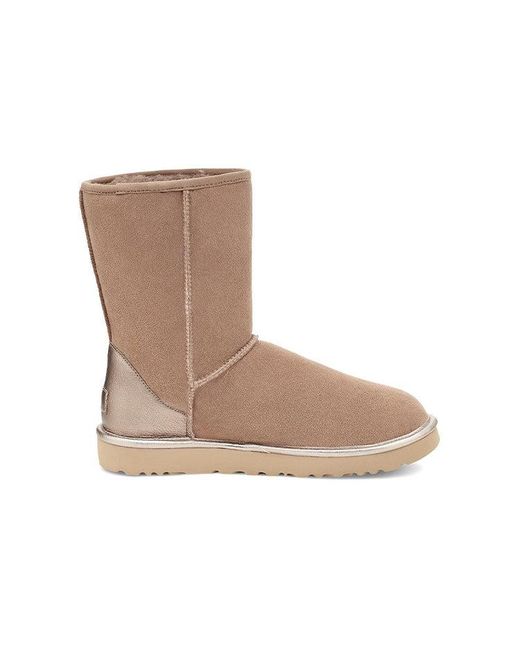 Ugg Brown (Wmns) Classic Short Shine