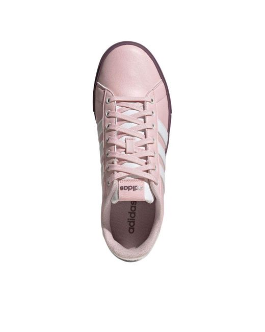 Adidas Purple (Wmns) Daily 4.0 Wine'