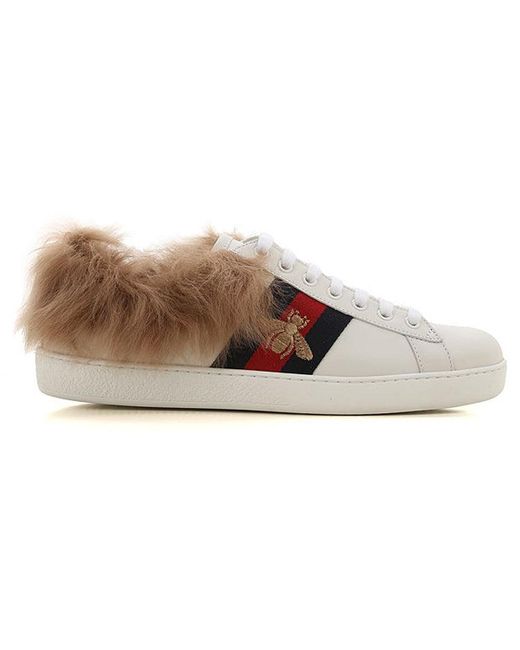Gucci Brown Ace Wool Embroidered