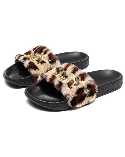 PUMA Brown (Wmns) Leadcat 'Leopard Print'