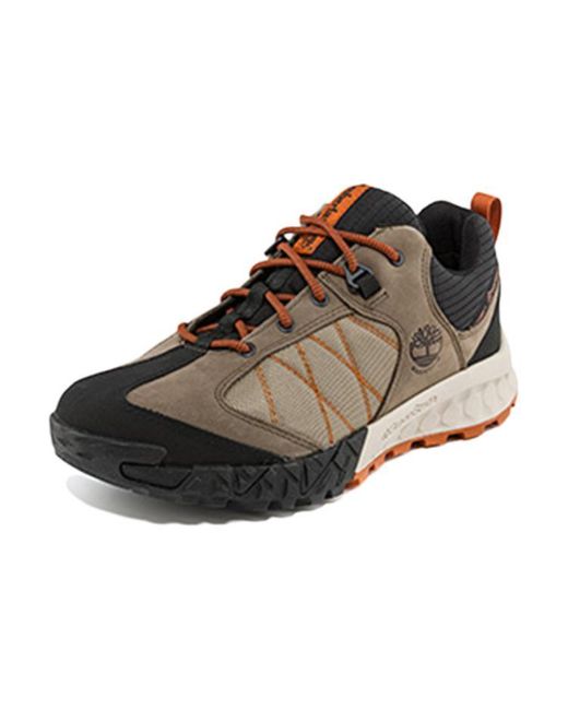 Timberland Brown Trailquest for men