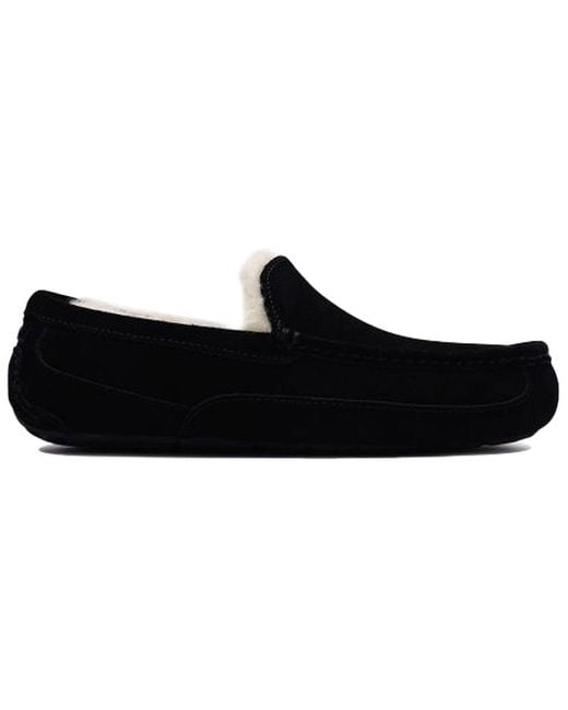 Ugg Black Ascot for men