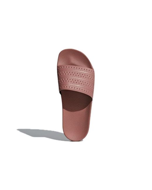 Adidas Brown (Wmns) Adilette 'Ash'