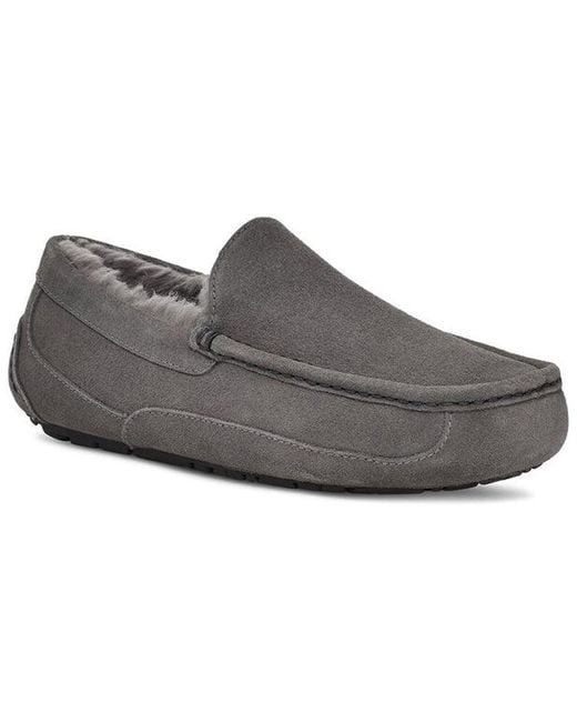 Ugg Gray Ascot Slip-On for men