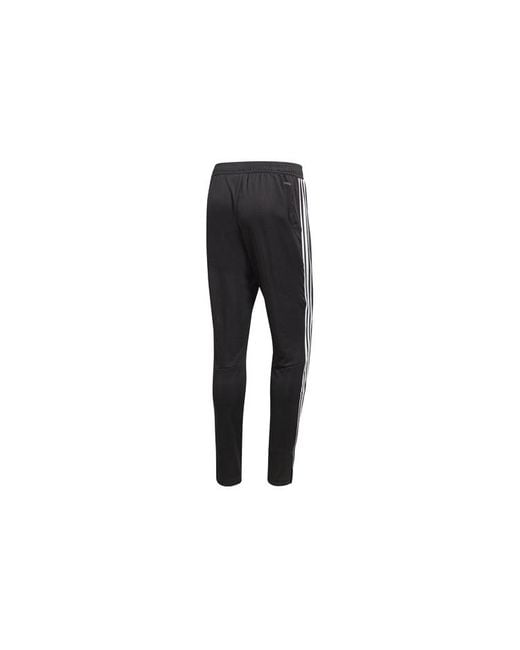 Adidas Black Tiro19 Tr Pnt Applique Football Sports Long Pants for men
