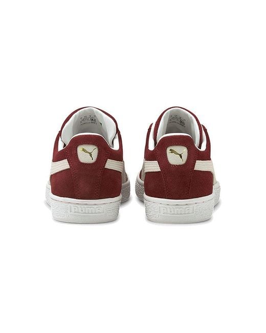 PUMA Brown Suede Classic 21 'Cabernet' for men
