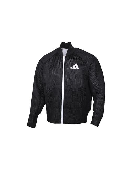 Adidas Blue M Vrct Oversize Double Sided Sports Logo Jacket for men