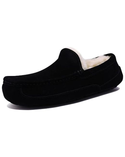 Ugg Black Ascot for men