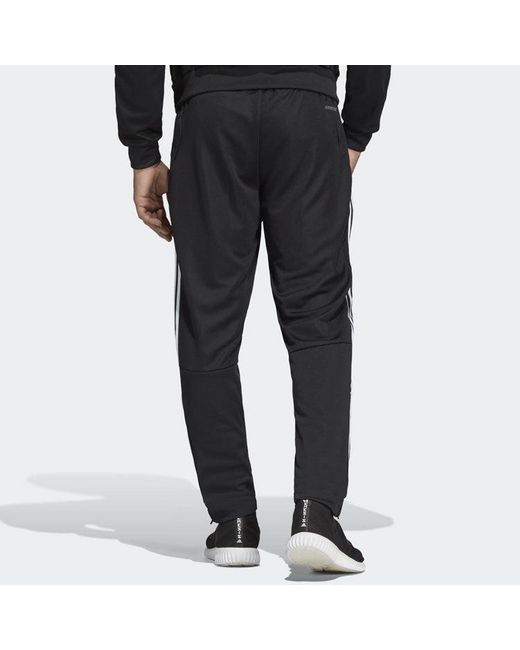 Adidas Black Tiro19 Tr Pnt Applique Football Sports Long Pants for men