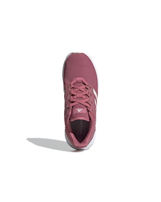 Adidas Purple (Wmns) Duramo 9 'Trace'