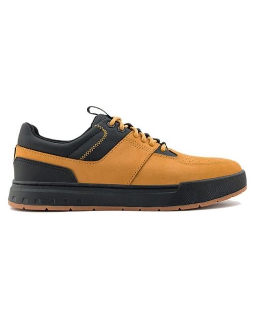 Timberland Blue Maple Grove Low 'Wheat' for men
