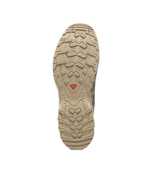 Salomon Brown Xa Pro 3D 'Lichen' for men