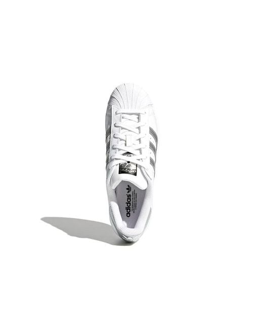 Adidas White Superstar