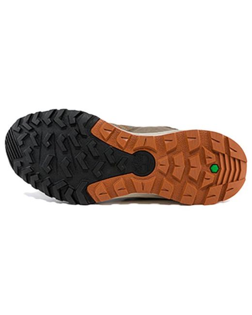 Timberland Brown Trailquest for men