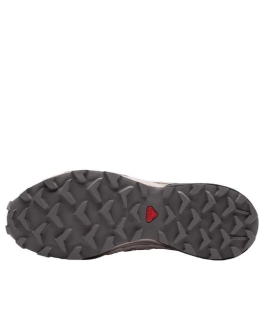 Salomon Gray Speedcross 3 Expanse Ltr for men