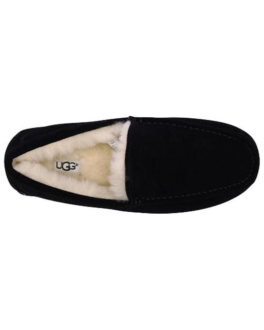 Ugg Black Ascot for men