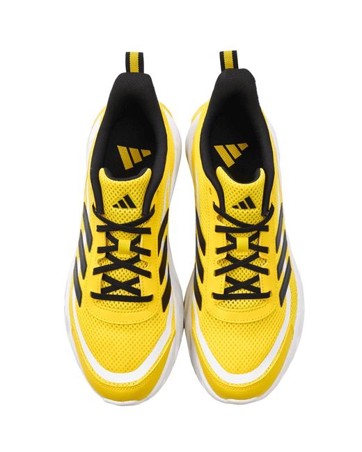 Adidas Yellow Neo All Day Boom for men