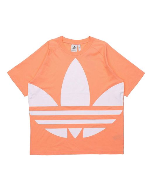 Adidas Orange Originals Big Trefoil Boxy Tee Large Logo Printing for men