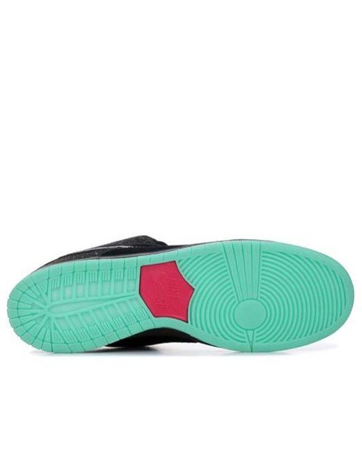 Nike Brown X Premier Sb Dunk Low Premium Ae Qs 'Northern Lights' for men