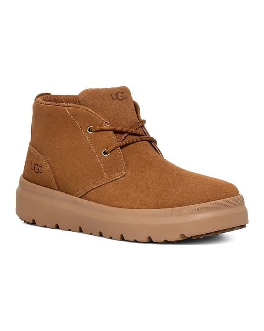 Ugg Brown Burleigh Chukka Boot 'Chestnut' for men