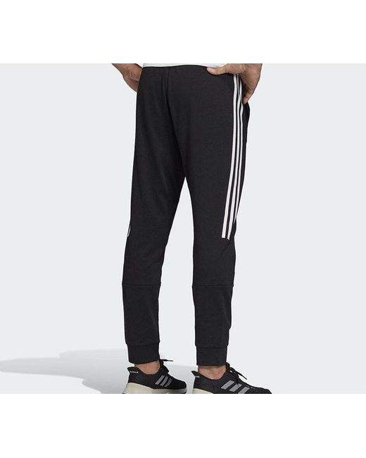 Adidas Black M Mh Bos Tp Sj Training Series Sports Pants for men