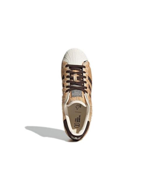 Adidas Natural Atmos X Superstar for men
