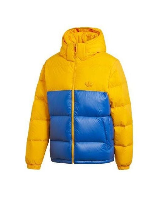 Adidas Yellow Originals Down Regen for men