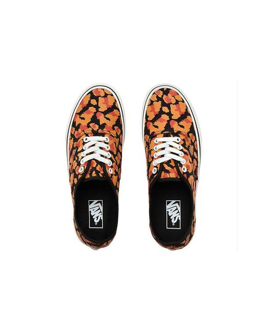 Vans Brown Leopard Authentic for men