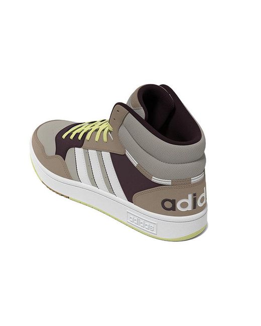 Adidas Brown Hoops 3.0 Mid for men
