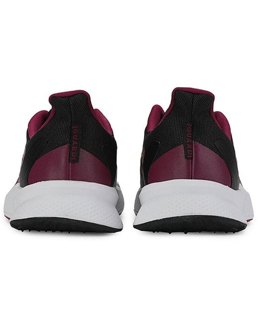 Adidas Brown X9000 L2 C.Rdypure Sneakers//Golden for men