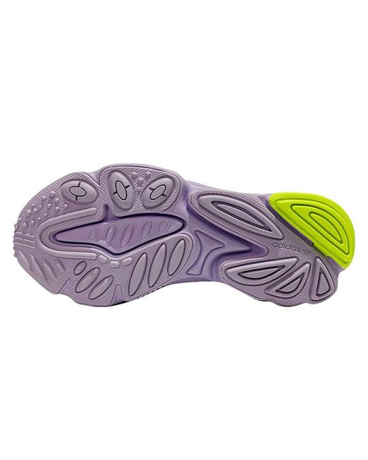 Adidas Purple (Wmns) Originals Niteball