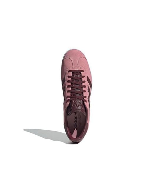 Adidas Purple Gazelle for men