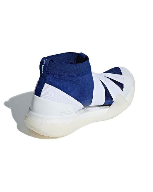 Adidas Blue (Wmns) Pureboost X Tr 3.0 Ll'